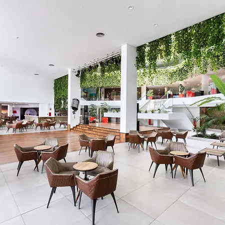 Alexandre Gala Playa de las Américas