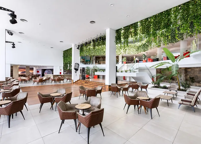 Alexandre Gala Playa de las Americas (Tenerife)